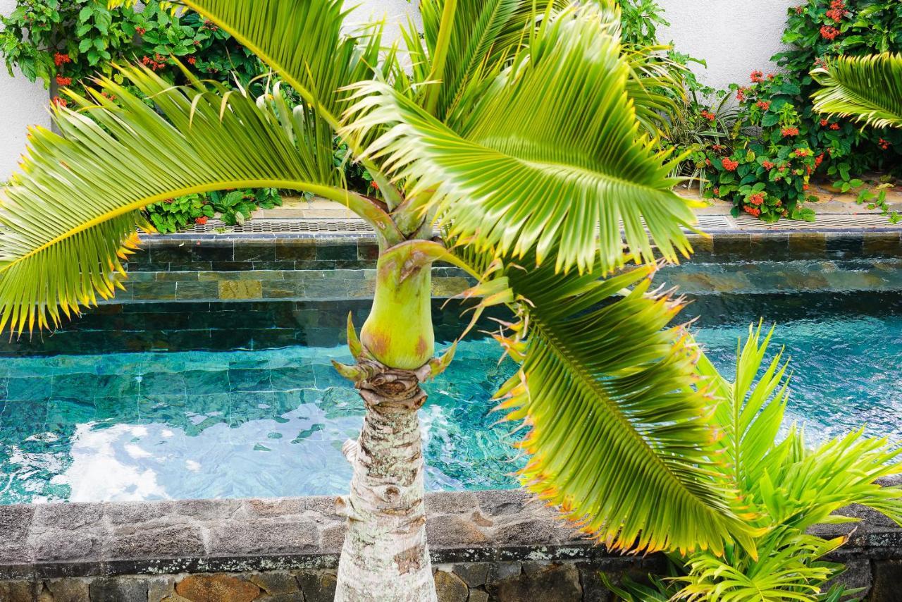 Luxury Villa L'Ile Maurice 康隆尼角 外观 照片